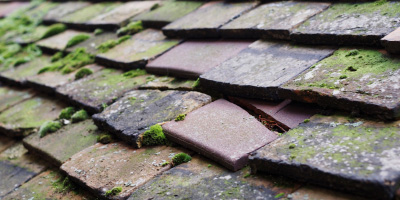 Hartwell roof repair costs